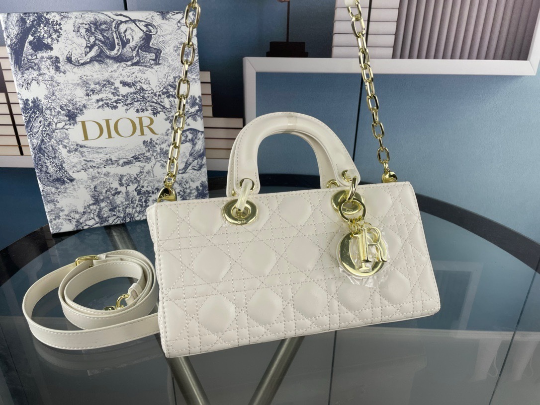 Dior Bag 001